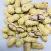 WhatsApp-Image-2026-05-28-at-9.34.19-AM.jpeg LongYan Wet-Roasted Red Skin Peanuts