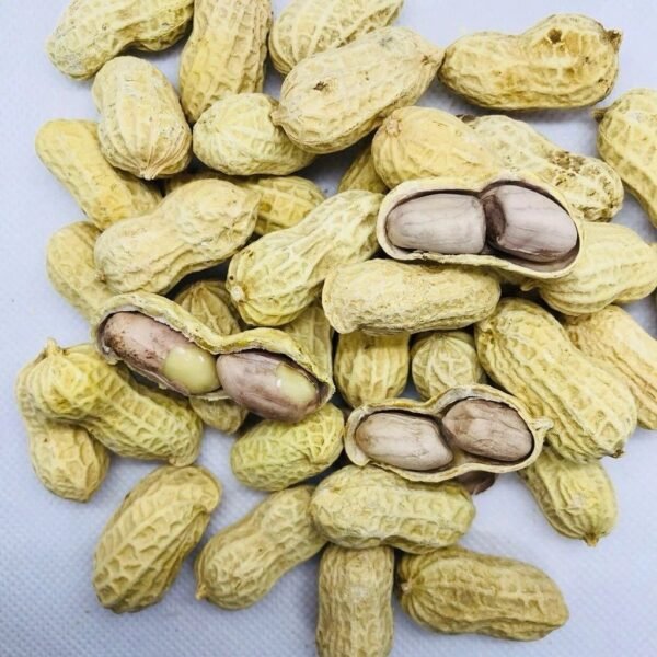 WhatsApp-Image-2026-05-28-at-9.34.19-AM.jpeg LongYan Wet-Roasted Red Skin Peanuts