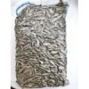 sg-11134201-22100-on1o89e6r5hvd1.webp 1kg Premium Kin Sang Large Original Sunflower Seeds