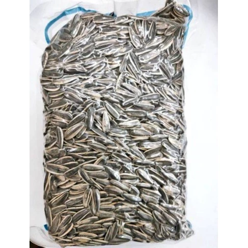 sg-11134201-22100-on1o89e6r5hvd1.webp 1kg Premium Kin Sang Large Original Sunflower Seeds